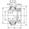 Fafnir Wide Inner Ring Insert Bearings, #G1100KRRB G1100KRRB